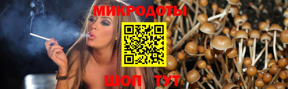 Псилоцибиновые грибы Psilocybine cubensis Удомля